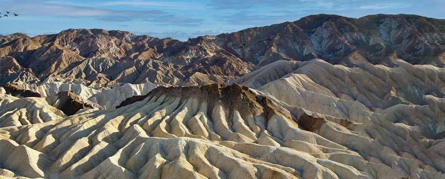 zabriskie